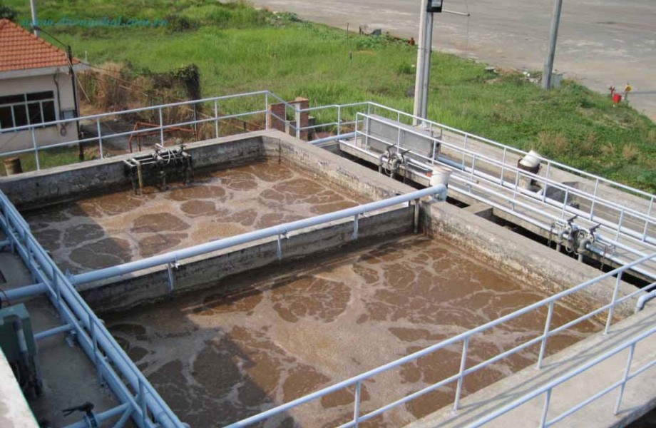 Hướng dẫn quy trình nuôi cấy vi sinh xử lý nước thải